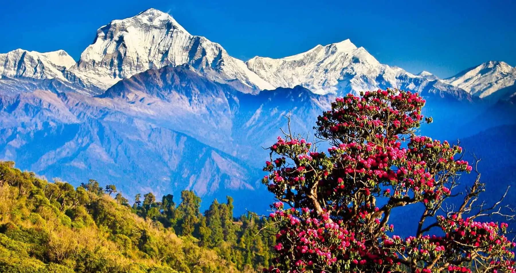 Nepal Tour Packages